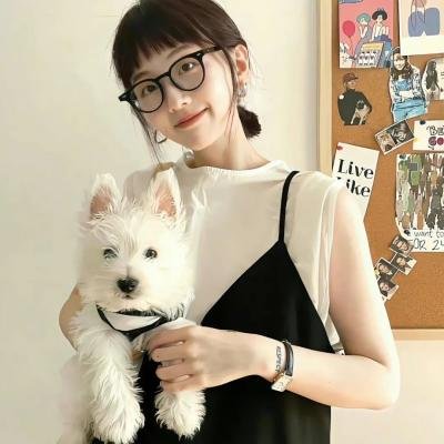 寻找酷巴熊